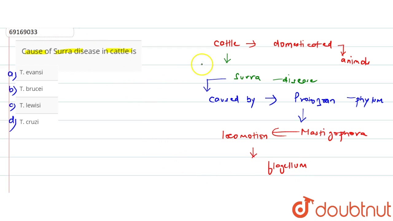 Cause of Surra disease in cattle is