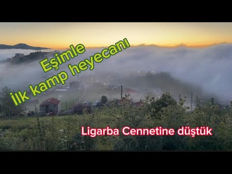 Video: Zone 9 Yaban Mersini: Sıcak Havada Yabanmersini Bitkilerini Seçme