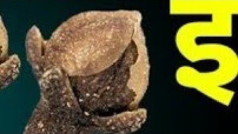 01 जून ज्येष्ठ रविवार षष्ठी तिथि के दिन इस जगह फेंक देना 3 लौंग बनोगे|| Pradeep Ji Mishra