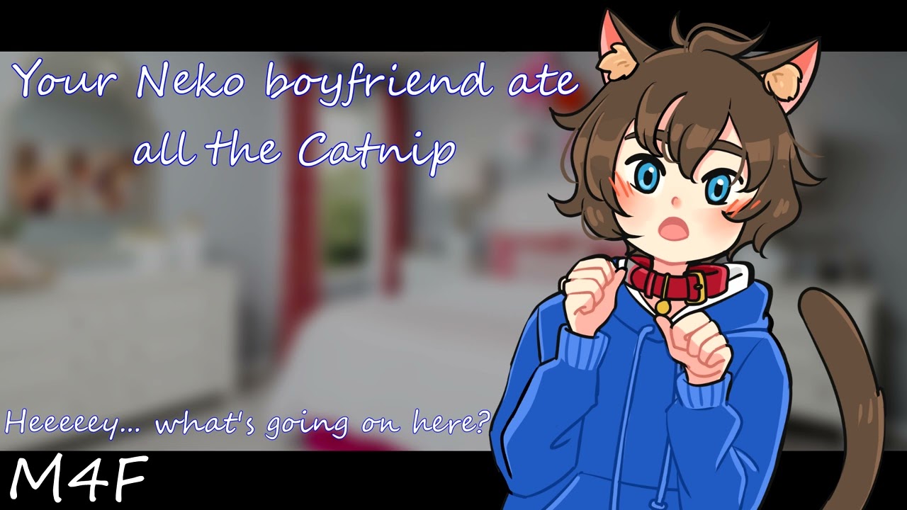Your Neko boyfriend ate all the Catnip [M4F][Giggly][Pet][Petting][Purring][Kiss]