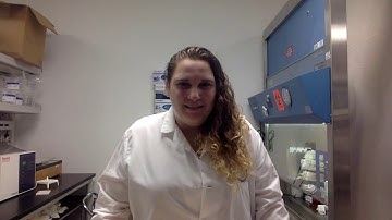 Nutshell Games 2020 Bracci