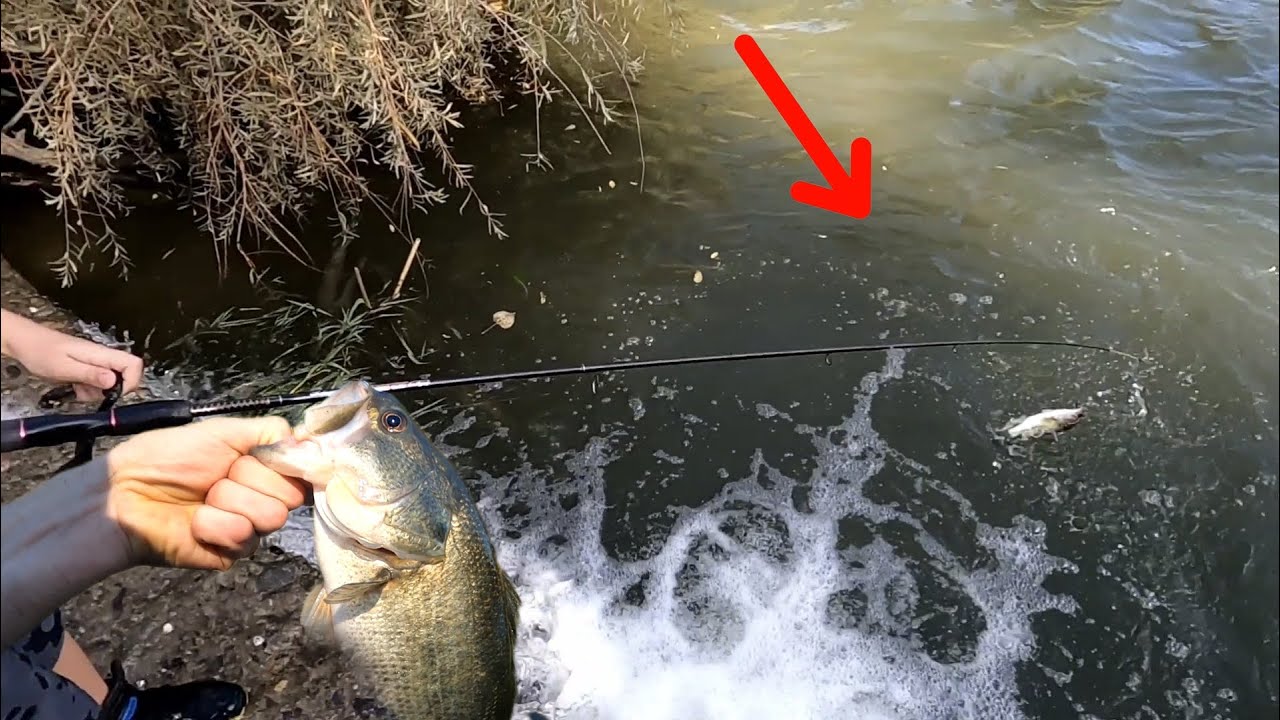 Fall bass fishing