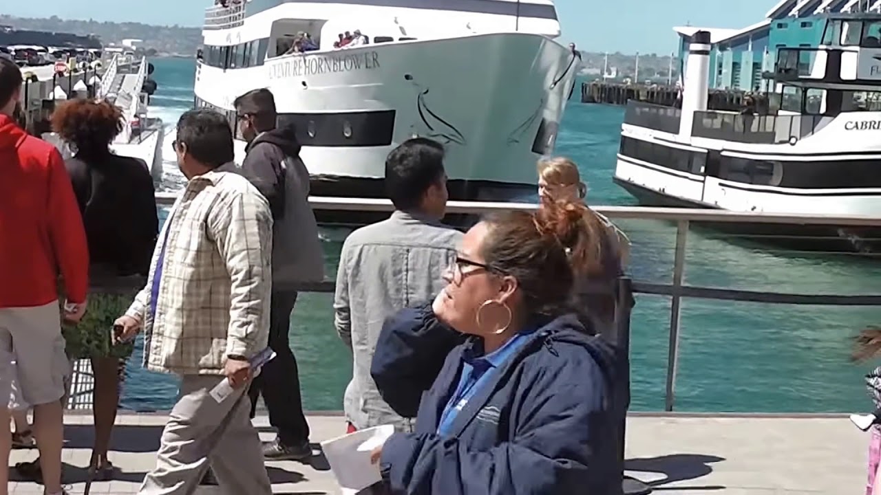 Tina learns to drive a cruise ship