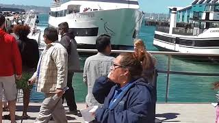 Tina learns to drive a cruise ship
