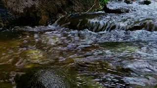 River Sounds for Calming the Mind and Soul
