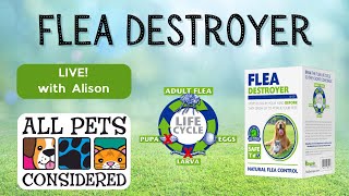 Reduce your pet's carbon pawprint...