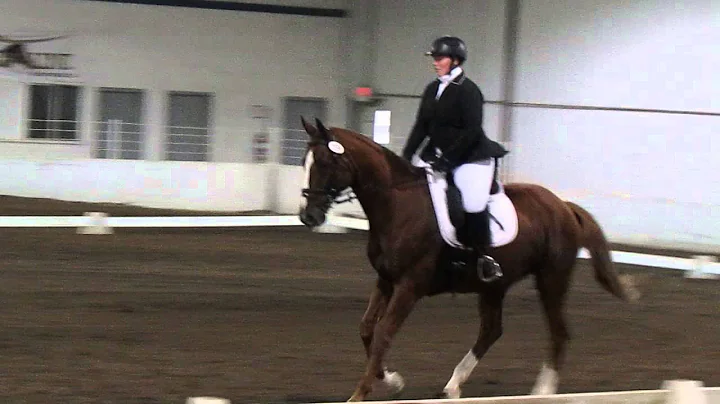 Regional Championship 1st 3: GAIG/USDF First Level...