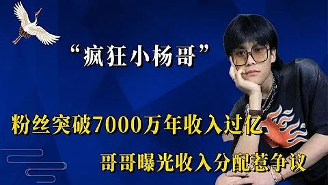 疯狂小杨哥收入过亿？哥哥曝光收入分配惹争议，其实网红只是副业 - 天天要闻