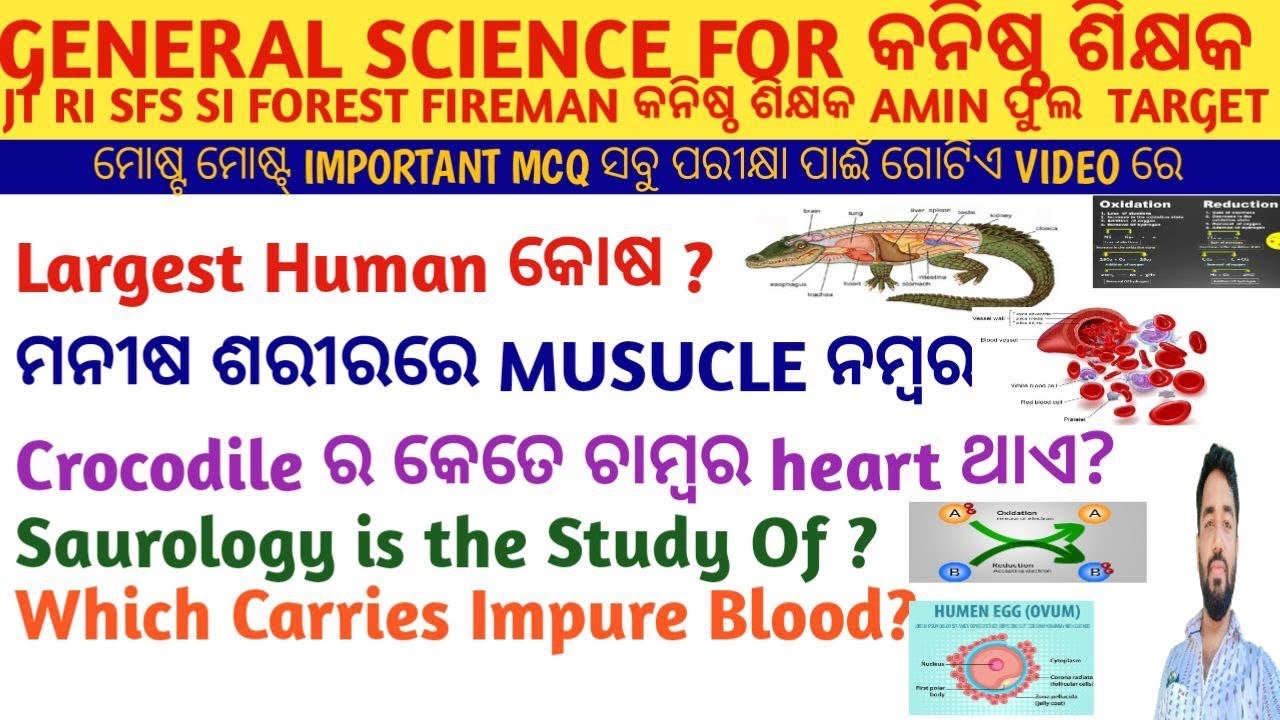 Odisha gk | General Science All Previous Year MCQ For RI JT SFS FIREMAN LSI SI | Crack Govt. Exam