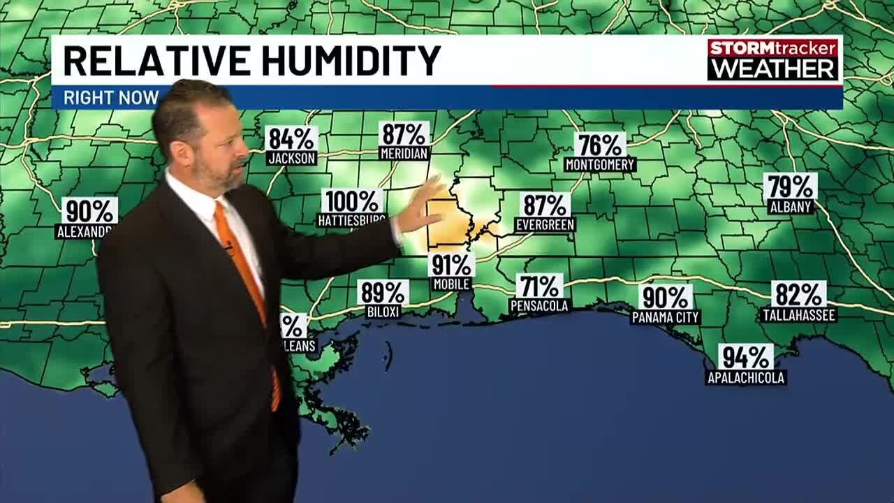A bit more humidity today - YouTube