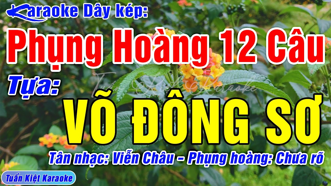 Karaoke Phụng Hoàng 12 Câu Võ Đông Sơ Dây Kép | Beat Mới, Hay, Chuẩn, Rất Dễ Hát – Tuấn Kiệt Karaoke