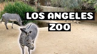 NEW UPDATES 2022 | What to expect at the LA ZOO