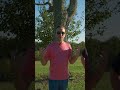 Chapel Lake Disc Golf Course in Jeffersonville, Indiana! 🥏🌳