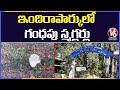 13 Sandalwood trees smuggled from Indira Park, Hyderabad