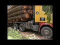 Scania P114 Malaysia Logging Truck.