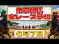 ６月７日東京競馬全レース予想