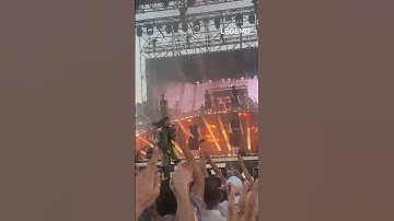 RILÈS SUR "MONEY TREES"