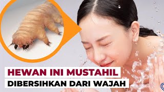 Demodex, Hewan yang Hidup di Wajah Manusia #temansains