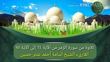 تلاوة من سورة الزمر للقارىء أسامة أحمد عنتر حسين