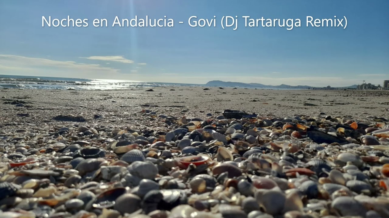 Noches en Andalucia - Govi (Dj Tartaruga Remix)