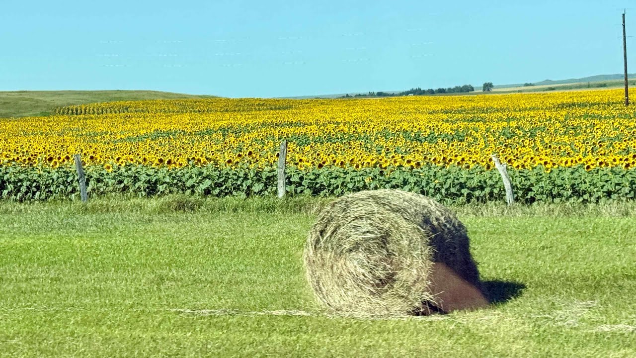 Devils Lake, North Dakota