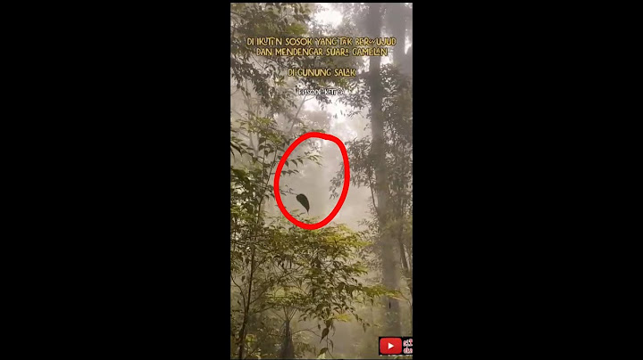 DIGANGGU MBAKUN SAAT PENDAKIAN GUNUNG SALAK | PART 3 #gunungsalak #hororterbaru2023 #mistis #angker