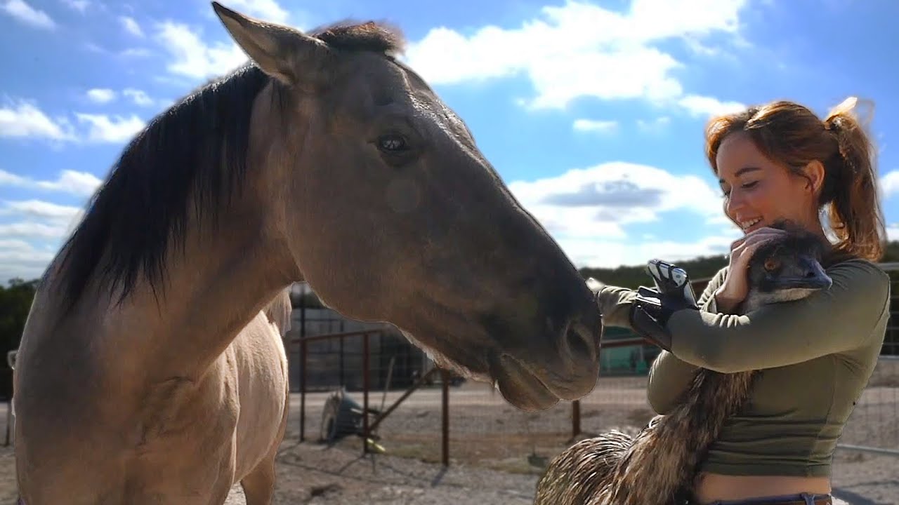 Maya was UPSET at Acero for doing this at Alveus