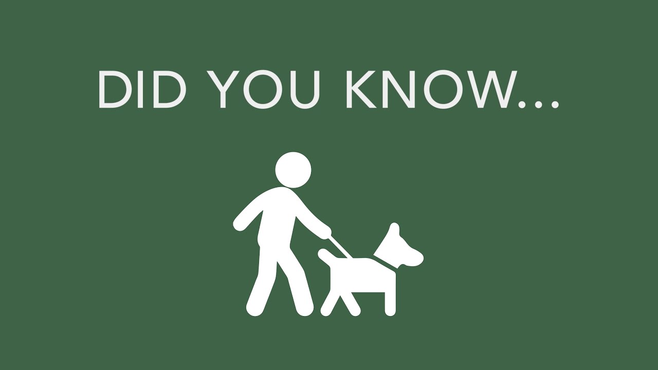 Dog Bite Laws in Washington State