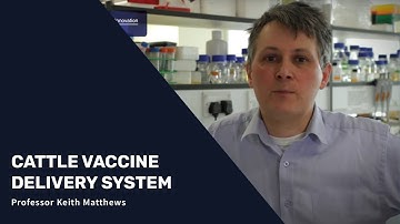 Technology Video: Cattle vaccine delivery system