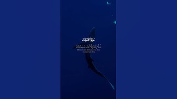 سورة الأنبياء 💙#حالات #حالات_واتساب #قرآن #حالات_دينية #حالات_واتس #كرومات