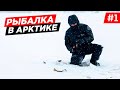 ПОСЛЕДНЯЯ В ЭТОМ ГОДУ ЗИМНЯЯ РЫБАЛКА В АРКТИКЕ. КОЛЬСКИЙ БЕЛОЕ МОРЕ. ПОДЛЁДНАЯ РЫБАЛКА. ЧАСТЬ 1