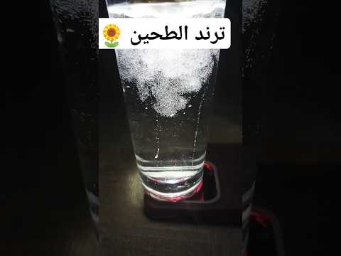 ترند الطحين