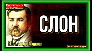 Слон , Александр Куприн  ,Русская Проза , читает Павел Беседин