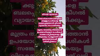 കീഗൽ വ്യായാമം #malayalam #shortsvideo #motivation #status #feelthemusic