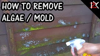 How To Remove Green Algae/Mold From Fence Panels | Cheap Effective Results | Quick & Easy