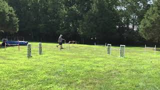 Cinnabar Jumpers ST:P1 Event #109228 Course 2