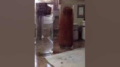 Soil slake test Feb 7th 2014