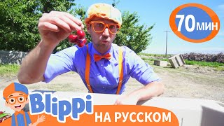 Блиппи Собирает Вишню🍒 | Блиппи На Русском