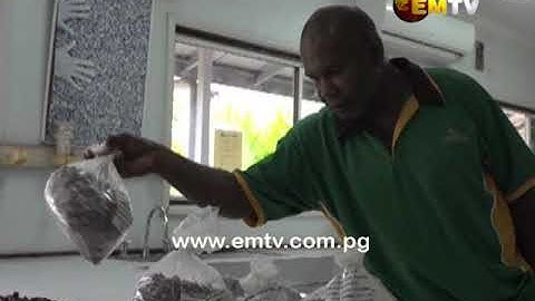 Cocoa quality tests revealed not all cocoa beans from PNG are of export standard