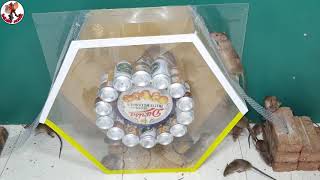 How To Catch A Mouse Alive How To Get Mice Out Of Your House How To Catch A Mouse In Your House