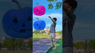 Pumpkin to Duck, Peacock, Pigeon&amp;Parrot - Birds names magic video