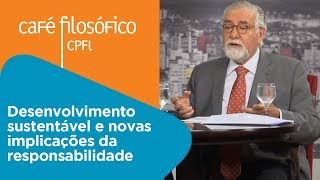 Desenvolvimento sustentável e novas implicações da responsabilidade | Celso Lafer