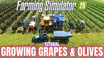 GROWING GRAPES & OLIVES - TUTORIAL - Farming Simulator 25