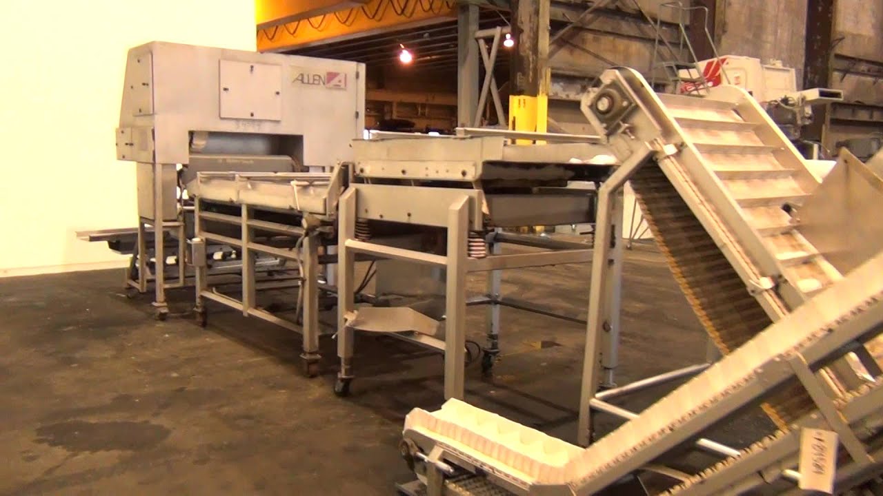 Used- Allen Machinery Optical Sorter, Model D2542884584