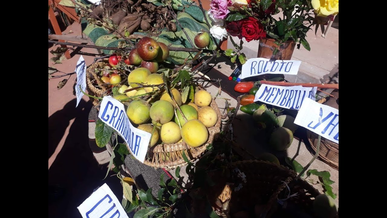 Umuchi, festival de productos agrícolas y gastronomía andina 2019.