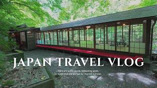 Day Trip to Rural Kyoto: A Secret Healing Cafe | Ninnaji & Daikakuji | Japan Travel Vlog
