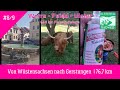 Finale Grande 🏁 | Wüstensachsen - Gerstungen (76,7 km) | Werra - Fulda - Ulster
