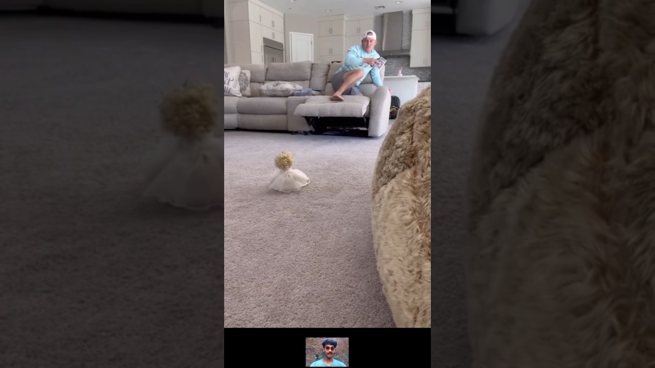 best of doll pranks 🧸😈 - haunted doll prank 