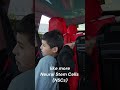 Stem Cell Journey Part 7 | NSCs #GoldTelepath #MilesMorales #Mondays #Nonverbal #Autism #stemcells