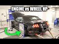 Engine Horsepower vs Wheel Horsepower - HP vs WHP